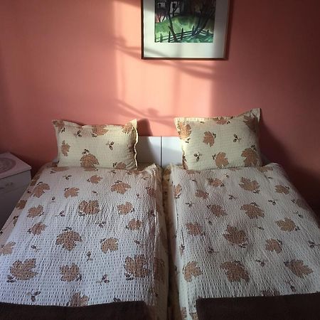 Becze Vanda Kulcsoshaz Lazarea Экстерьер фото