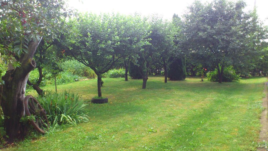 Becze Vanda Kulcsoshaz Lazarea Экстерьер фото