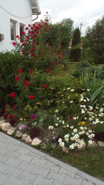 Becze Vanda Kulcsoshaz Lazarea Экстерьер фото