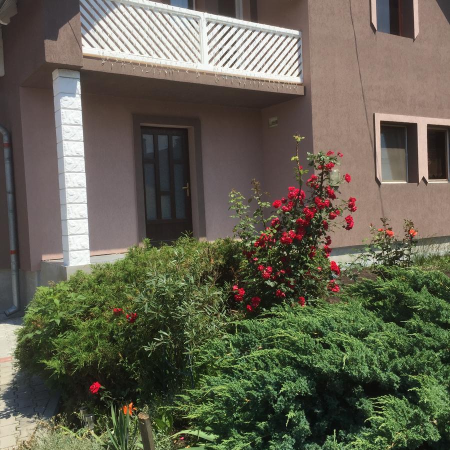 Becze Vanda Kulcsoshaz Lazarea Экстерьер фото